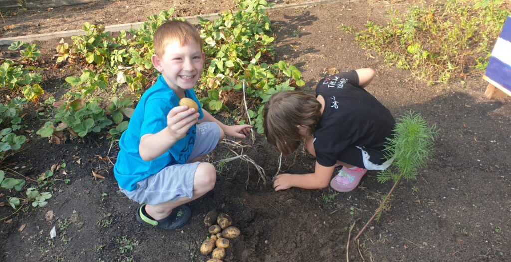 Naschgarten Strinum 2022